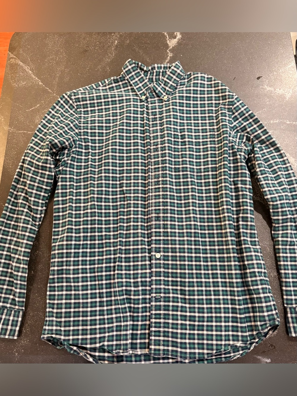 GAP Men's Green and Navy Plaid Button-Down Shirt